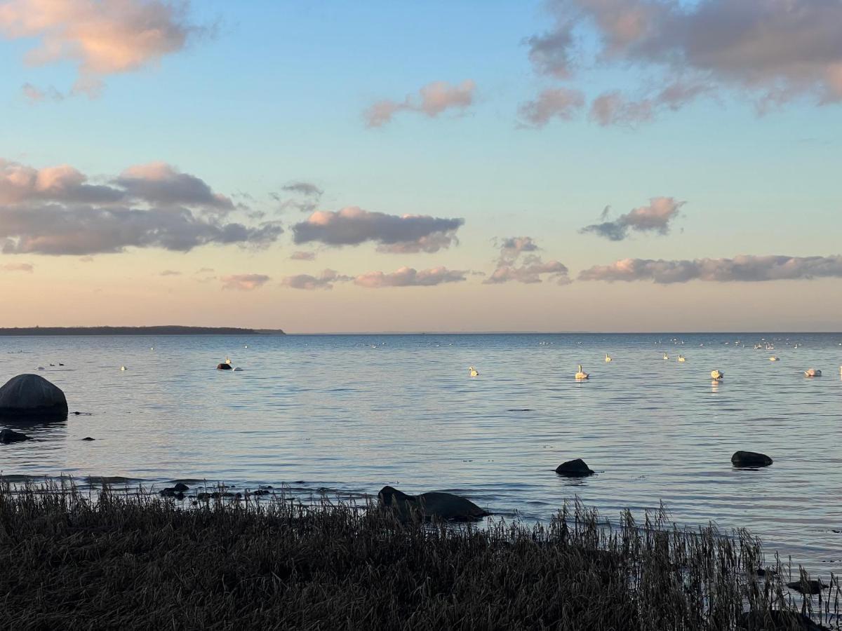 Reet Und Meer Beckerwitz Hohenkirchen  Luaran gambar